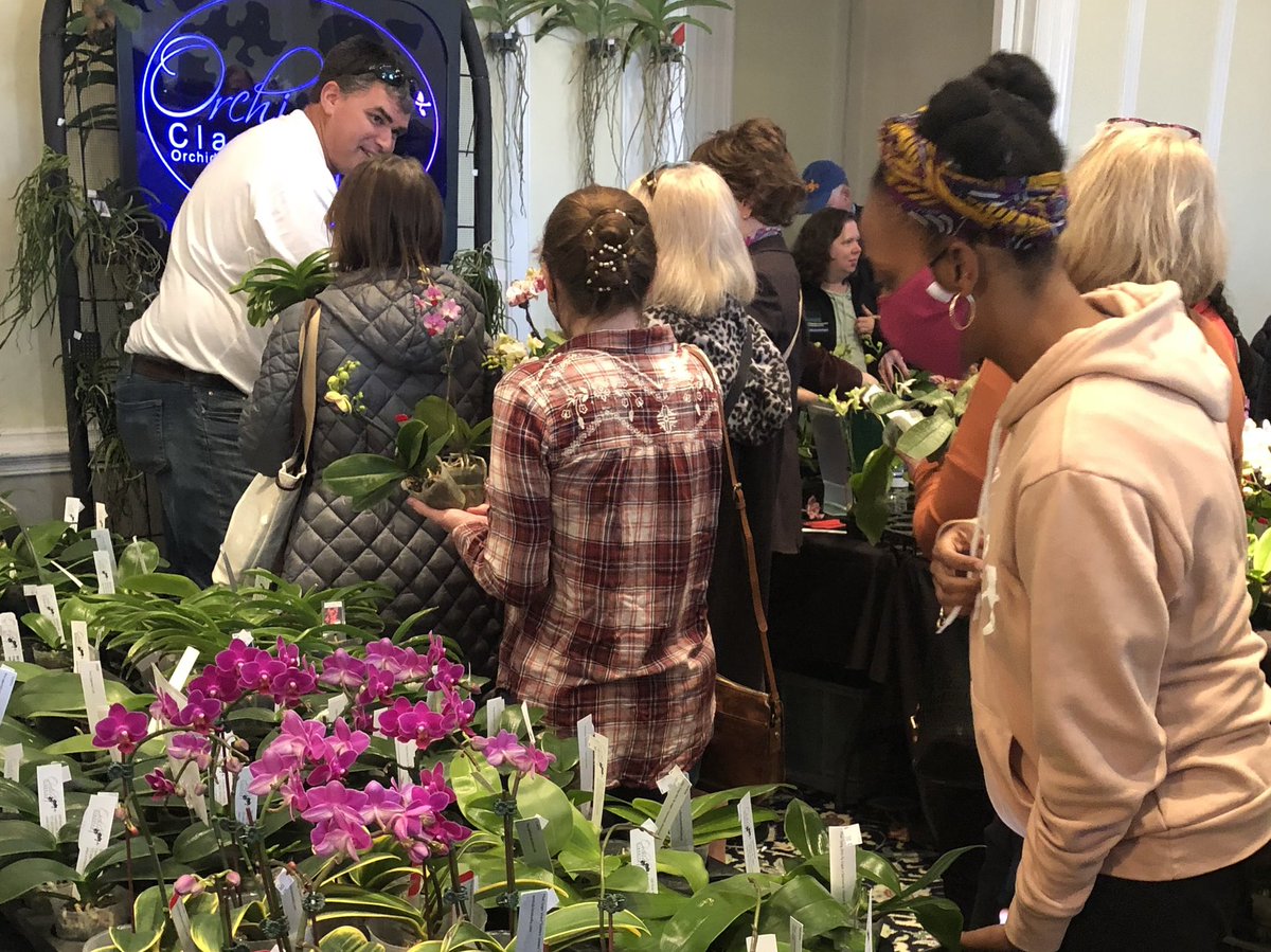 BethRMonroe's tweet photo. Oh my, orchids! Orchid Show &amp; Sale at @lewisginter this weekend: displays, free lectures, vendors https://t.co/cdxoY3ljYn #RVA https://t.co/hsIyyCmUcN