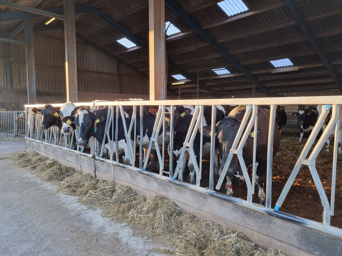 CDAhetHOGELAND's tweet photo. Vanmiddag waren wij in gesprek in #Adorp met een aantal boeren uit de omgeving.🐄 Een heel verhelderend gesprek,  onderwerpen als vergunningen, bouwblokken en weidevogelbeheer kwamen aan de orde 🌾🌿 https://t.co/Fd3rkYFPcO