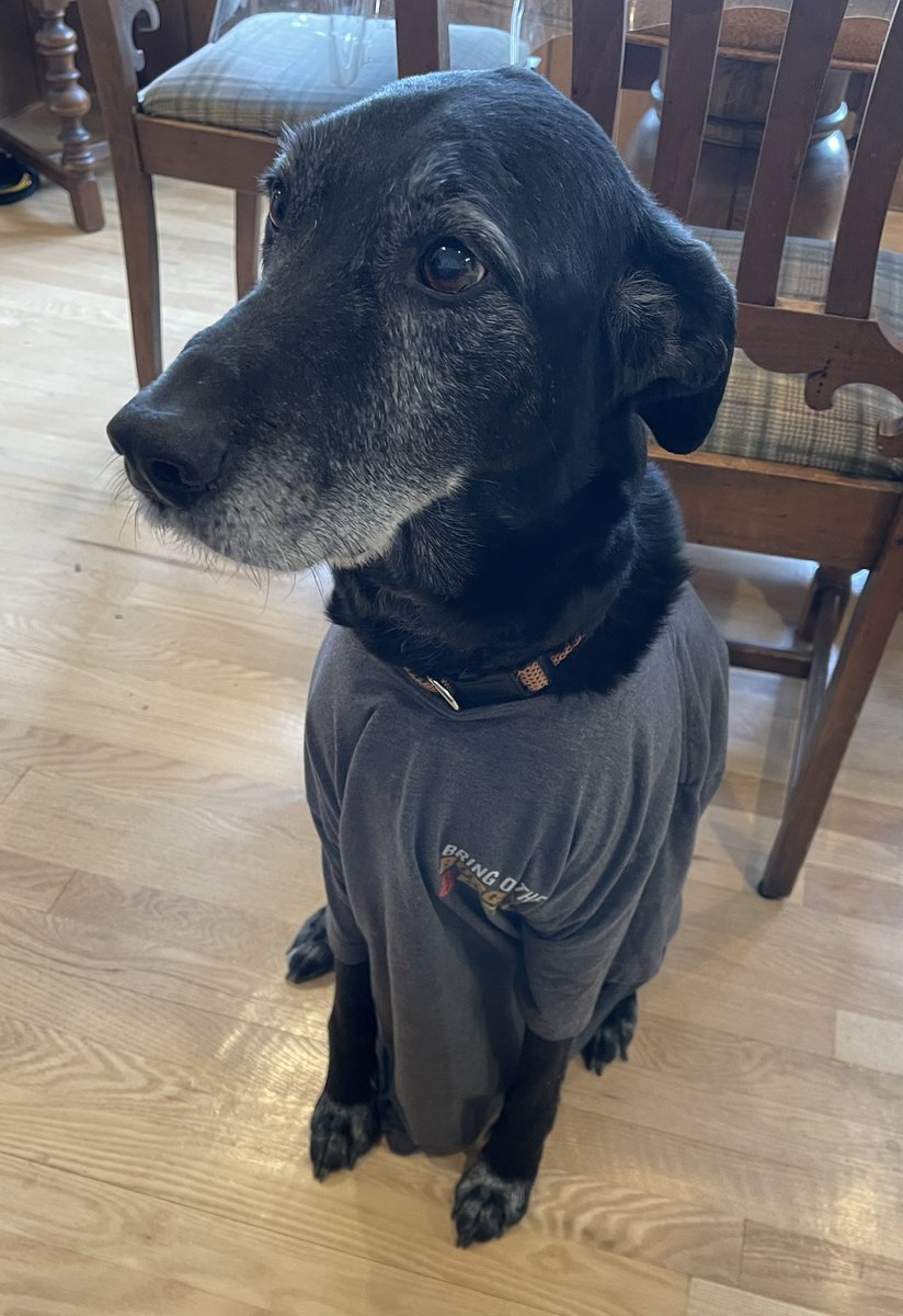 gump_ethan's tweet photo. Ever wonder where the 🌶’s Team Member shirts go once you become a CSL? Well, Nacho here isn’t so “Chili” at night anymore now that he has his own!
I guess Chiliheads really do come in all shapes and sizes…

#chilis #midwestisthebest
@clflesh @Chilis https://t.co/JfYuom5WOS