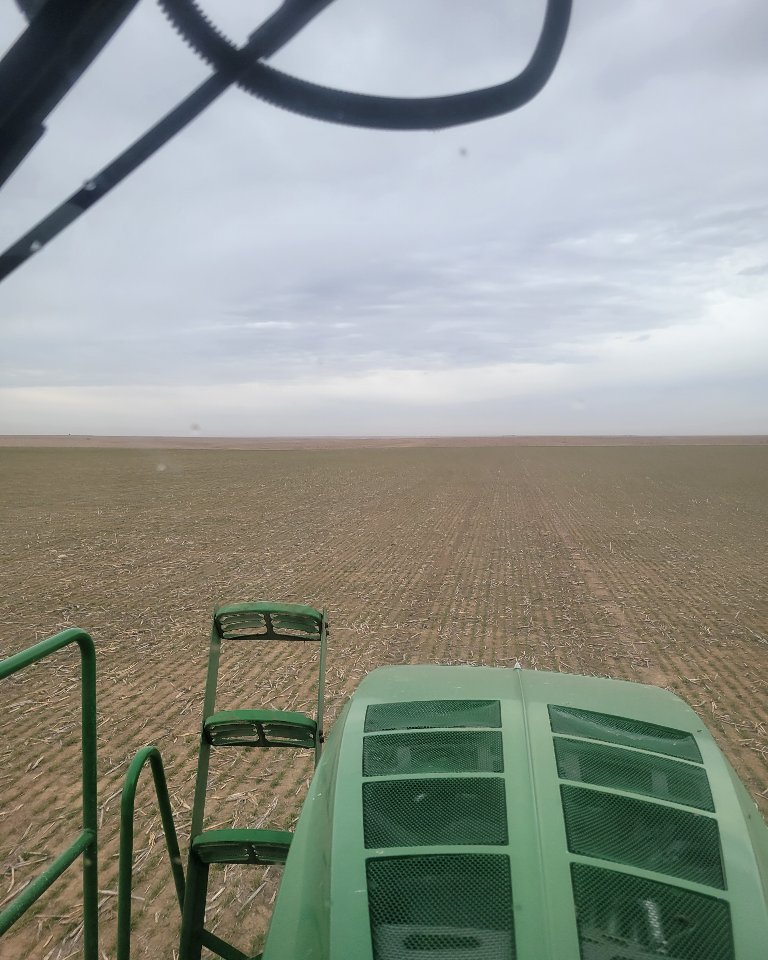 The mkts heard there are 10 rain drops on the sprayer windshield.   Wheat no longer limit up.