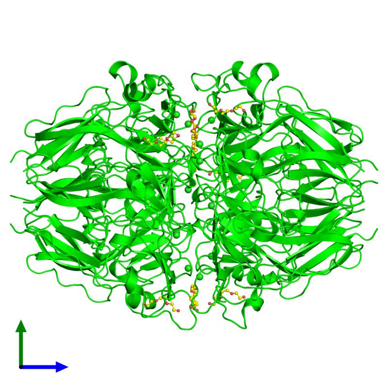 PDBimagebot's tweet photo. #HexamerOfTheWeek 'Crystal structures of homooligomers of collag..' published in @IUCrJ. Find it at https://t.co/6iNjfdnLBl https://t.co/4gLNd5kOgr