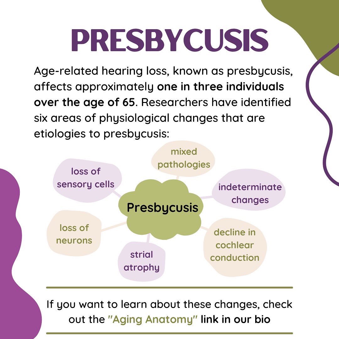 This weeks Aging Anatomy is here!
We are exploring the age-related changes to the auditory system including changes to the ear and presbycucis. Swipe to learn more!