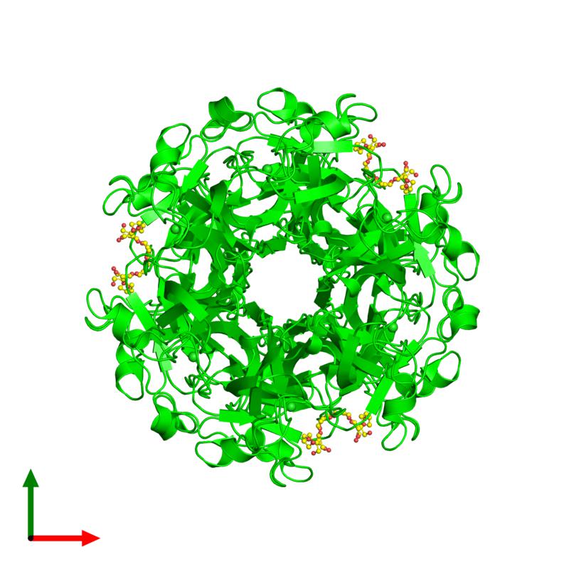 PDBimagebot's tweet photo. #HexamerOfTheWeek 'Crystal structures of homooligomers of collag..' published in @IUCrJ. Find it at https://t.co/6iNjfdnLBl https://t.co/4gLNd5kOgr