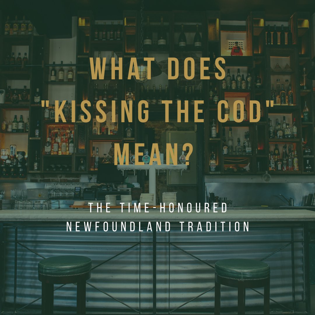 Kissing the Cod on Twitter "What Does "Kissing the Cod" Mean? Also