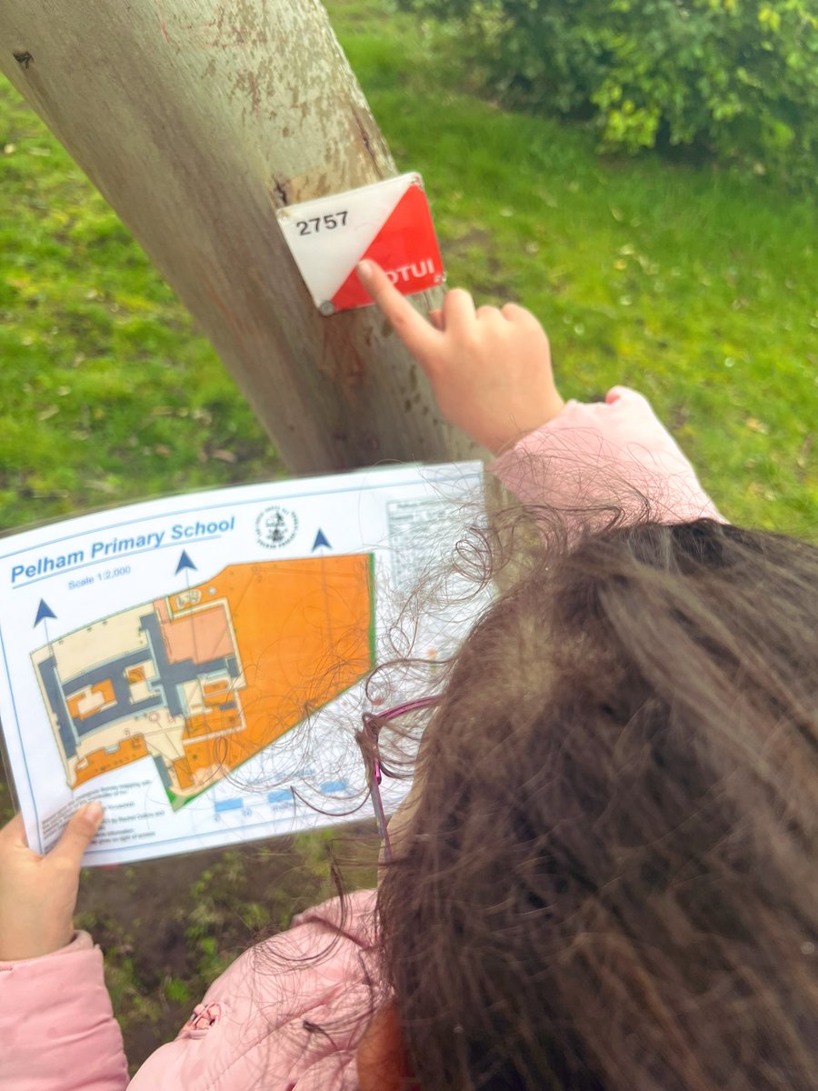 miss_bradfield's tweet photo. This afternoon we used maps to explore @PelhamPrimary_ #Orienteering 🗺 🧭 @trustilluminate #primaryschool #education https://t.co/pNVtqmdnV6