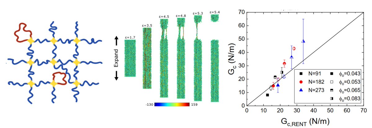 UMassPSE's tweet image. Check out the @UMassAmherst story on the theoretical and experimental breakthrough by @Crosby__Group, @TewGrp &amp;amp; @JonQDoe that allows scientists to predict when a soft material will crack and fail. Shout-out to co-lead authors Ipek Sacligil and Chris Barney!bit.ly/3IJ9iL7