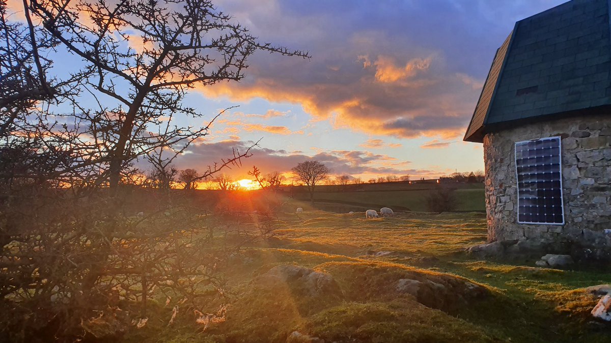 Neil Wharton tweet media