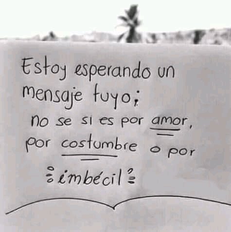 ANDYC427's tweet image. 