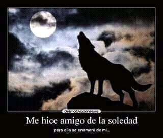 ANDYC427's tweet image. 