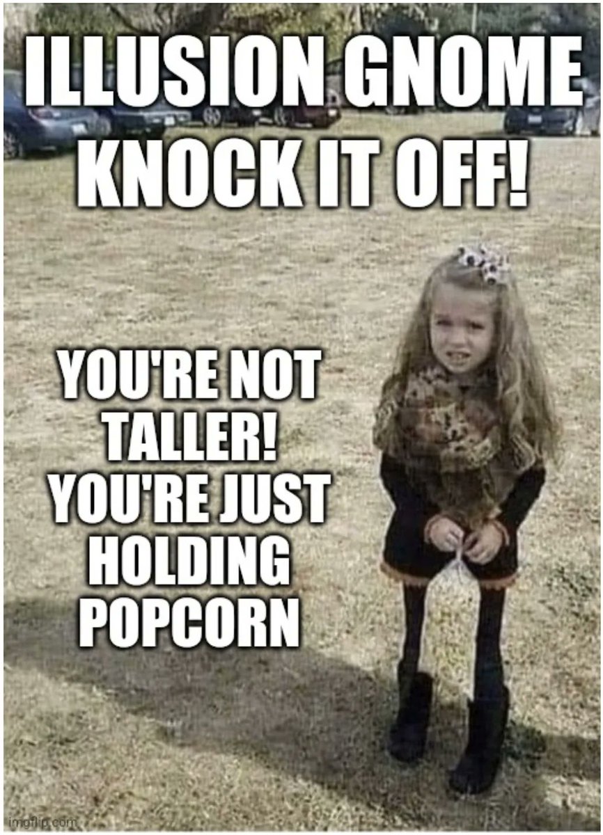 Gnomes make great Mages but they're also smart enough to create illusions without using magic.