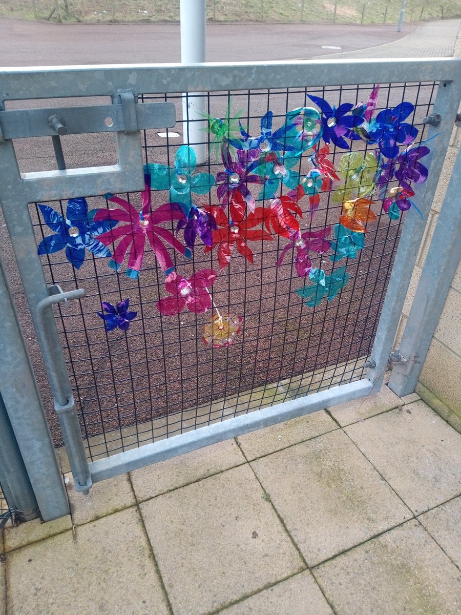 St Paul's RC Academy Gardening Club tweet media