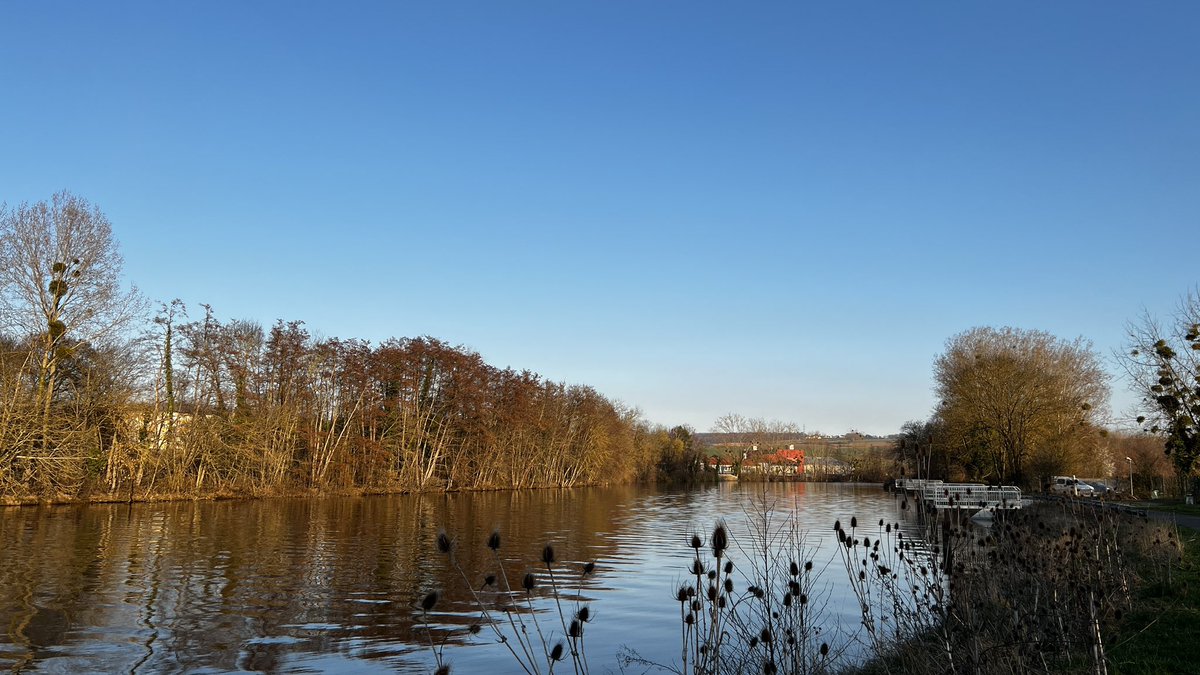 Samah Ghalloussi tweet media