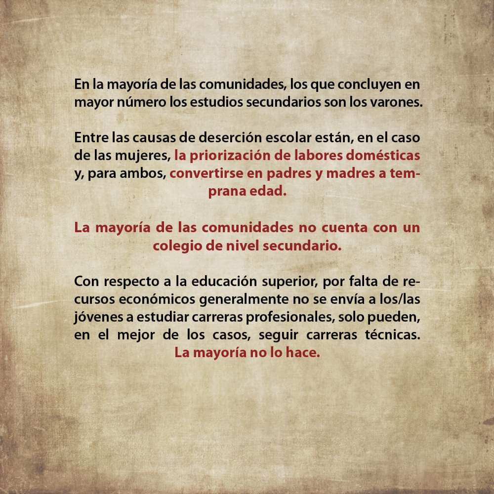 feconau1's tweet photo. 🚨📢| El "Informe sobre la situación de los Pueblos Indígenas en el marco de la declaración de Naciones Unidas sobre los derechos de los Pueblos Indígenas" revela la vulneración al derecho a la educación intercultural en niñas y niños indígenas. 1/2 https://t.co/mXYqqFPb4h