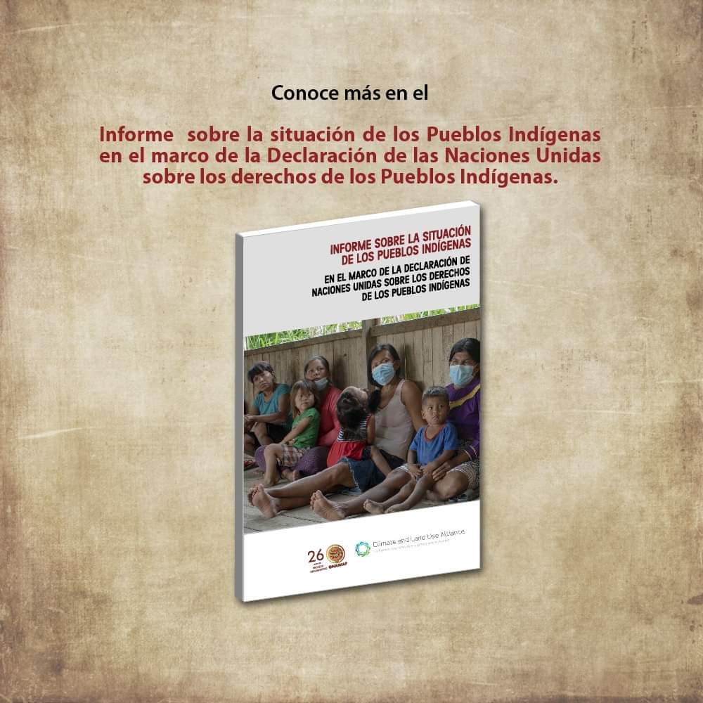 feconau1's tweet photo. ▶Conoce más del informe, que reúne la situación de vulneración de derechos individuales y colectivos de comunidades nativas de Ucayali, a través del siguiente enlace:  https://t.co/eFHEINWMJa 2/2 https://t.co/Wrv524pm3Y