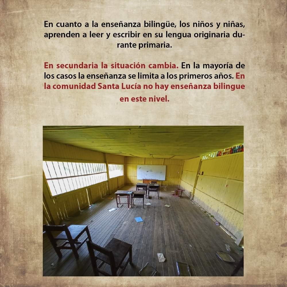 feconau1's tweet photo. ▶Conoce más del informe, que reúne la situación de vulneración de derechos individuales y colectivos de comunidades nativas de Ucayali, a través del siguiente enlace:  https://t.co/eFHEINWMJa 2/2 https://t.co/Wrv524pm3Y