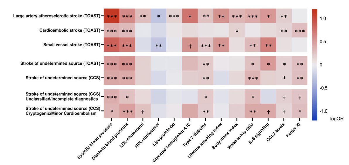 MariosGeorgakis's tweet photo. glad to share our article on the genetics of cryptogenic stroke in Annals of Neurology https://t.co/C82QKh8cTP reflecting my work @CGM_MGH @broadinstitute Main message: genetics don't respect our diagnostic boundaries https://t.co/f9wwpaDHwE