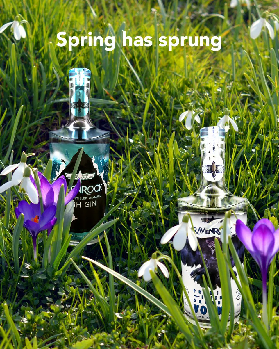 Spring is in the air. Days are getting brighter. Evenings are getting longer. And the weather is 'slightly' improving. The perfect excuse for a Premium Organic Ravenrock over ice! What's your tipple? Discover #RavenrockSpirits: buff.ly/3kjYoAk