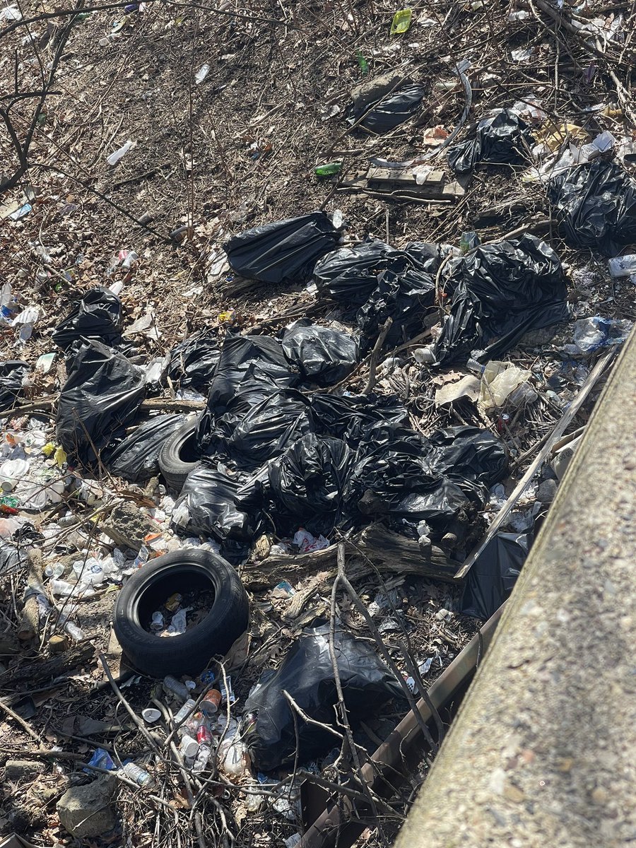 YaFavTrashman's tweet photo. Just did a site visit with @TTFWatershed at Tacony Creek Park Trail. The amount of trash blew my mind. I’m hosting a clean up here on March 19th this is all hands on deck. They need a lot of help maintaining this park. @ellisonreport @MariaQSanchez  @RepBurgos @billy_penn https://t.co/jyoELfIC1P