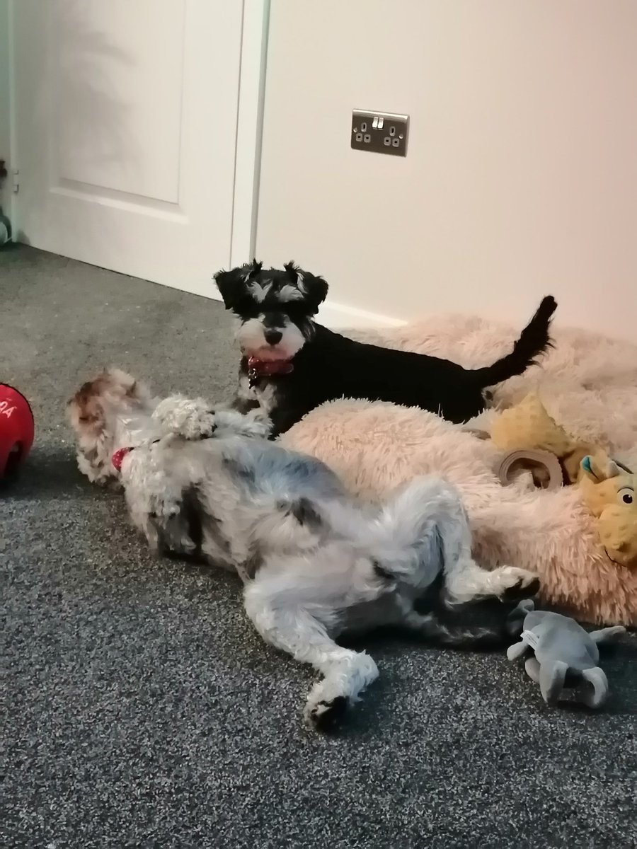 Maggie's face says it all 😂