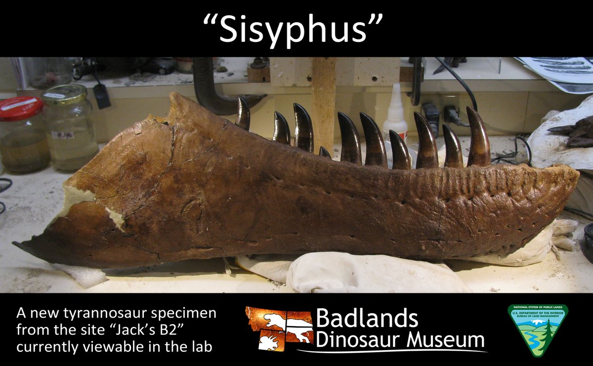 Denver Fowler Ph.D tweet media