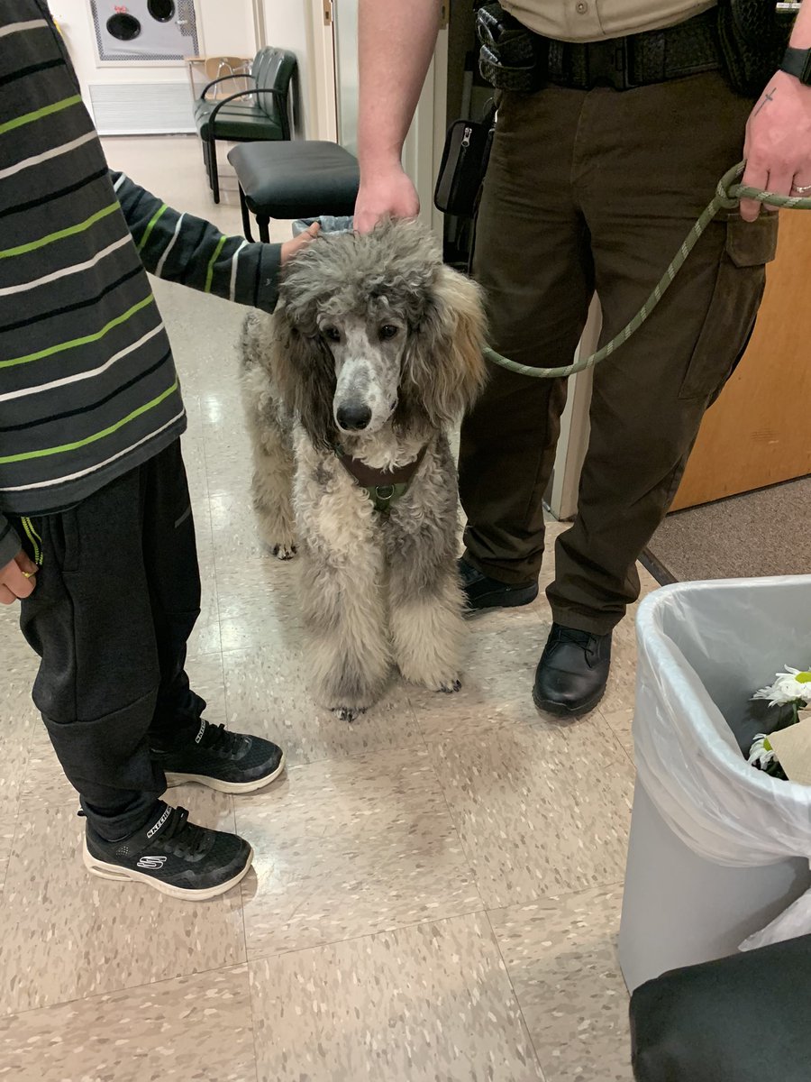 Finally got to meet <a href="/MunfordScout/">Scout the Therapy Dog</a>  🐩🦴🐩 I’m so thankful for a school system that goes above and beyond for our students! <a href="/TCBOE/">Talladega Co Schools</a> <a href="/MunfordElem/">Munford Elementary</a>
