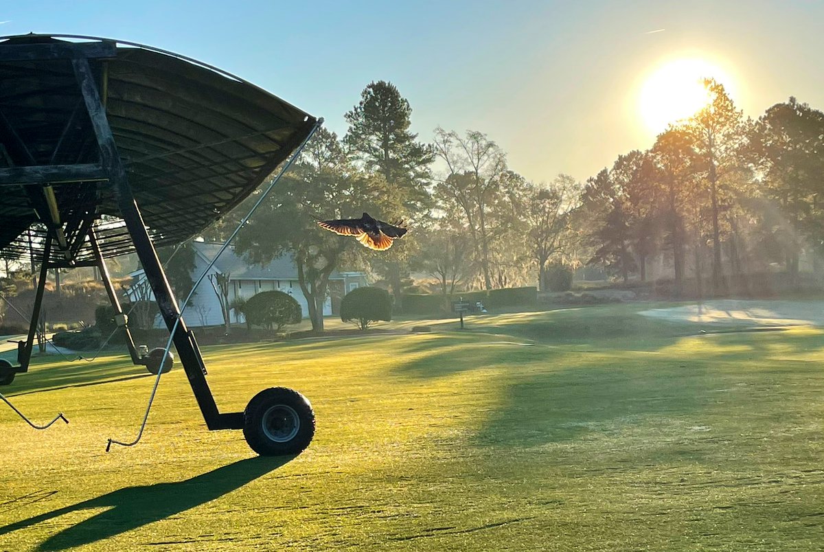 Morning views <a href="/BerkeleyHall_SC/">Berkeley Hall Club</a>.
<a href="/AMillerBH/">Adam Miller</a> <a href="/Michael_A_44/">Michael Deangelo</a>