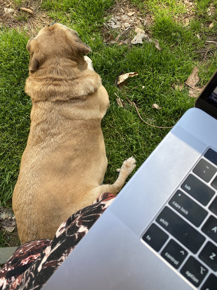 by_JMSto's tweet photo. Friday afternoon outside with my coworker. https://t.co/AnW1pSi9GR