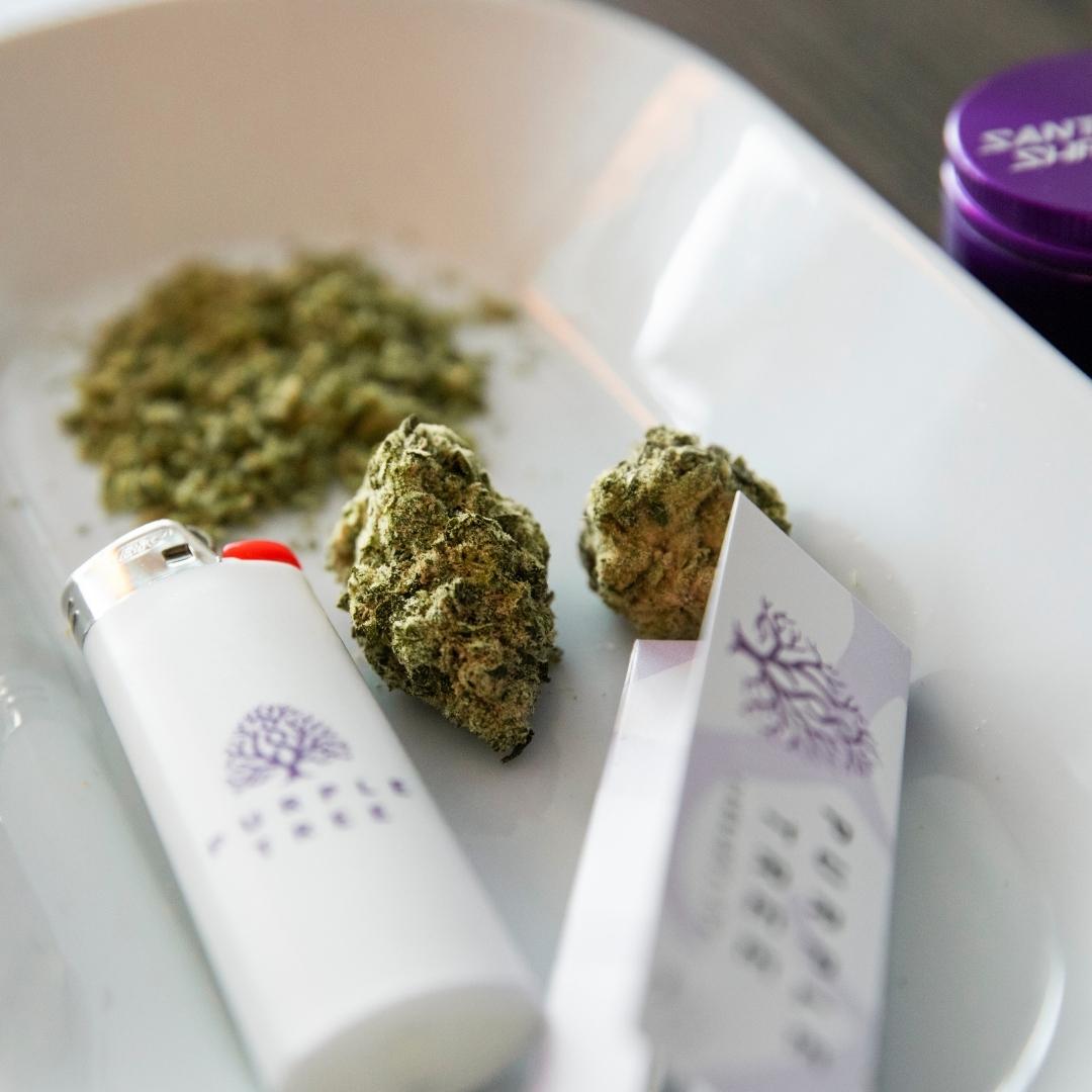 purpletreeltd's tweet photo. The essentials ✅
Come say hello at our #Roncesvalles shop so we can help you find exactly what you need! 👋  We’re also taking pick-up and delivery orders. https://t.co/bKVPKZ7N6b