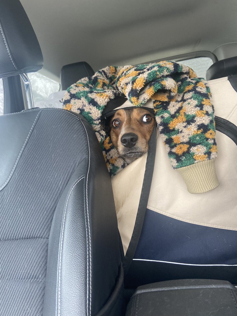 Juni & Alyssa tweet media