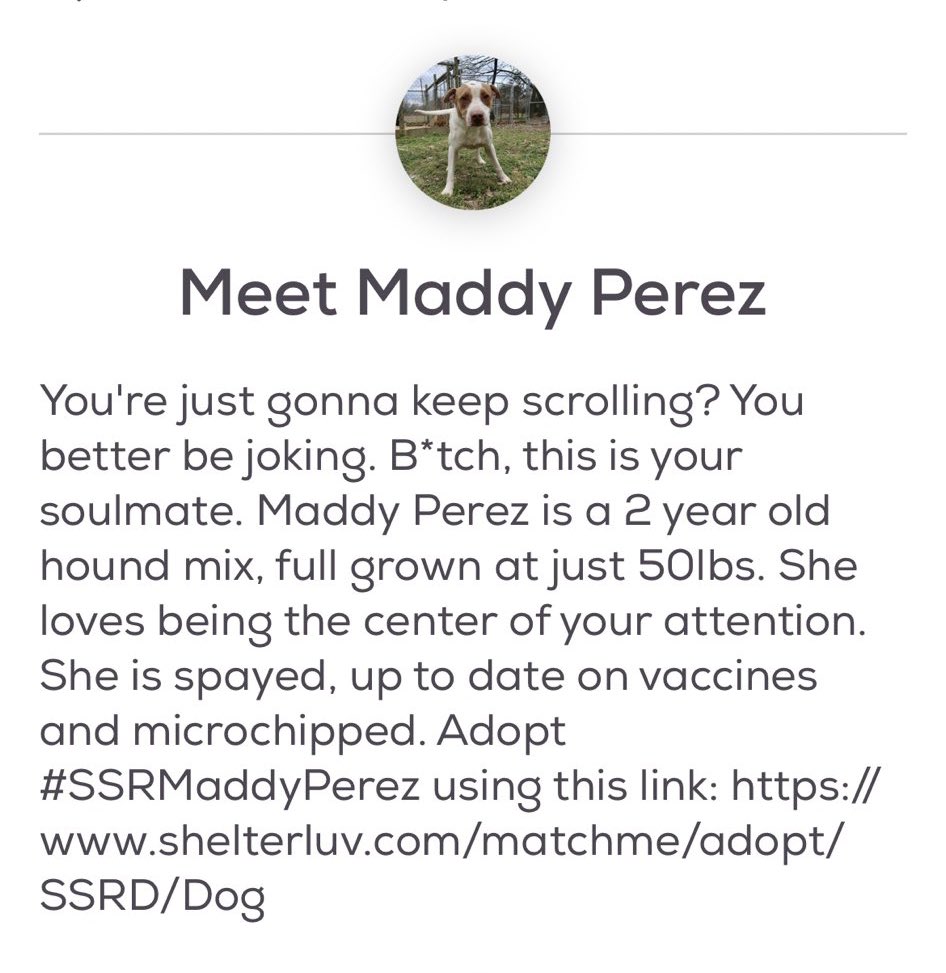 petfindernames's tweet photo. wait. is this fucking play about us? https://t.co/BJvNyIn592