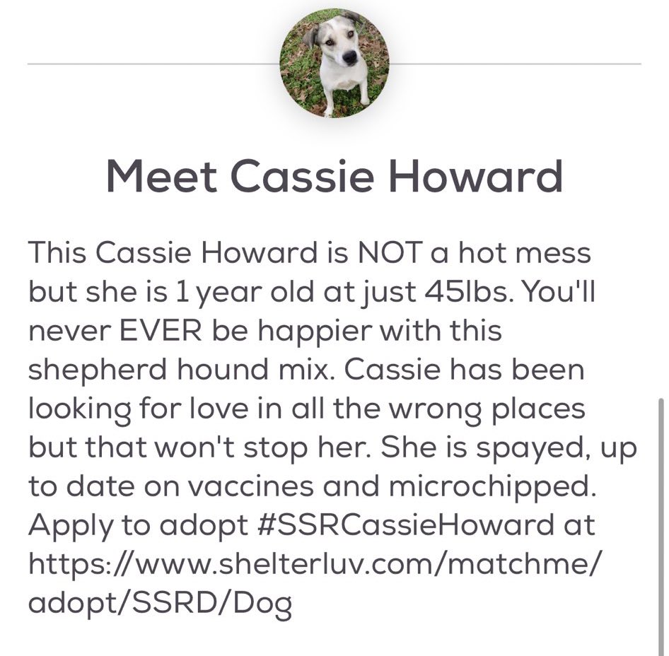 petfindernames's tweet photo. wait. is this fucking play about us? https://t.co/BJvNyIn592
