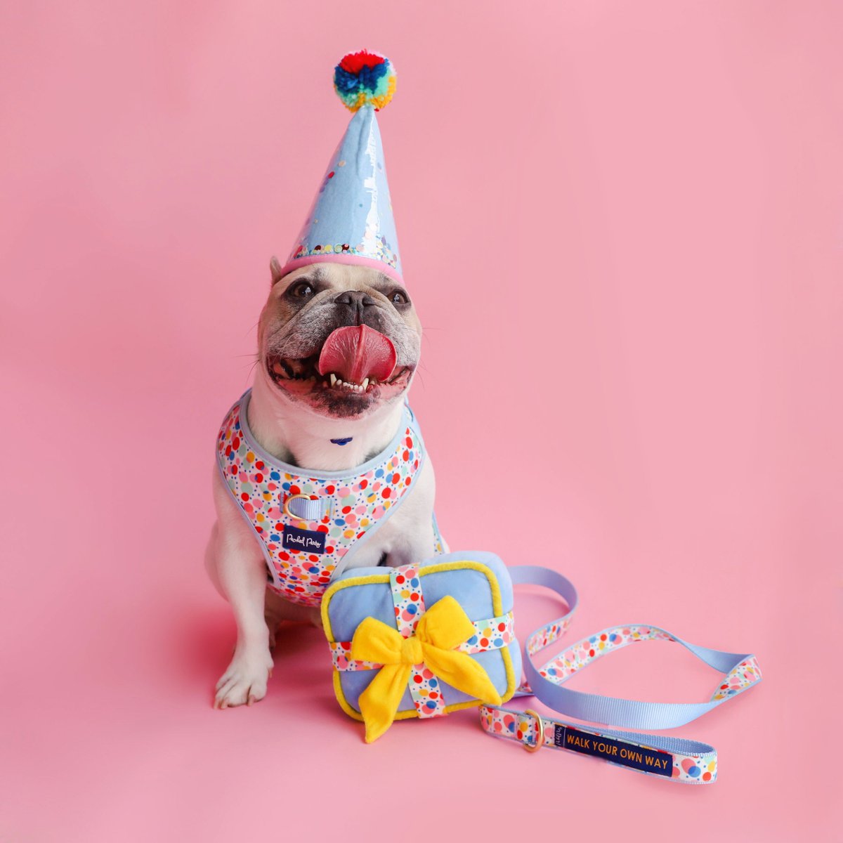 Raise your ears if you've ever planned a birthday party for your dog! Our exclusive collection with @PackedParty is now in stores! 🎉 #packedpartyatpetsmart

The party starts here: ptsmrt.co/PackedParty