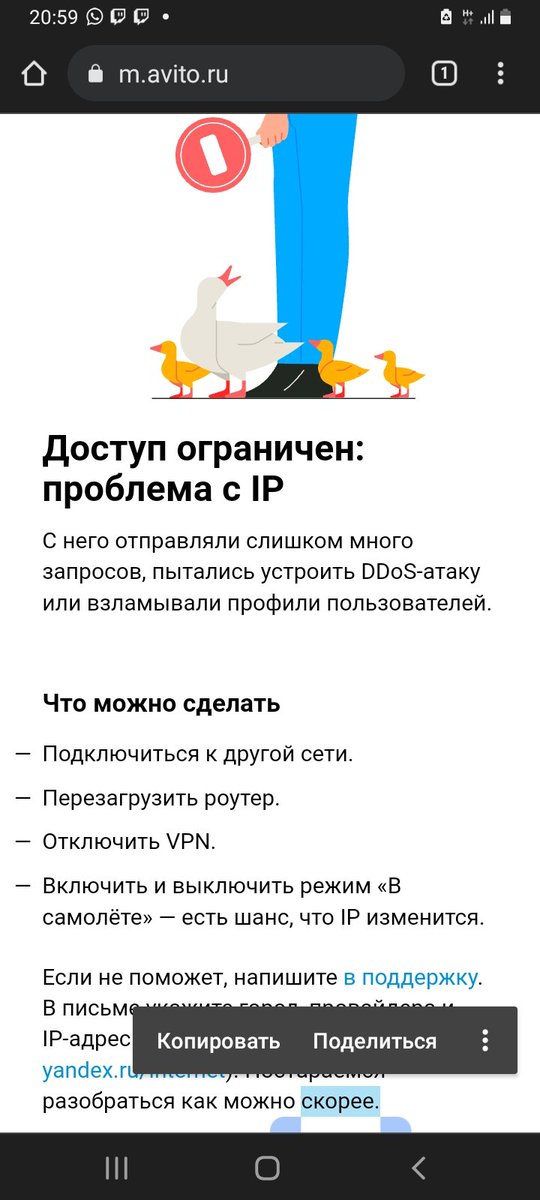 2023 enjoyers tweet media