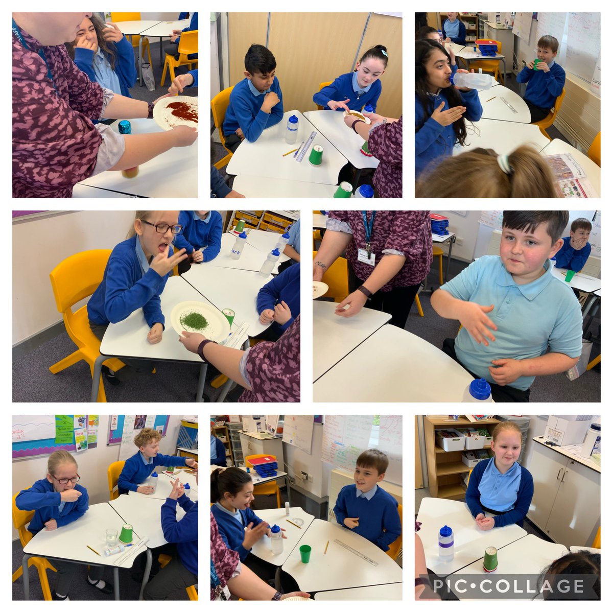 MissTill_1's tweet photo. As part of Food Technology, 5 Ruby have learnt all about herbs and spices, where they come from and the difference between them. We also tasted a range of spices and dried and fresh herbs - as you can see from the photos, some were preferred to others! 
@SHAcademyTipton https://t.co/JPtxoKYSUa