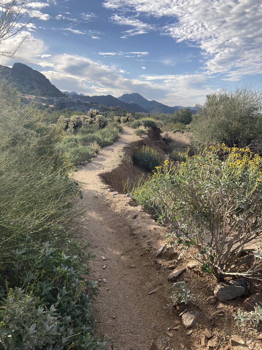 GHorton2012's tweet photo. My 1st #Mtb #Bikepacking trip in #Arizona came to an abrupt stop..heat exhaustion in 31 deg, then my solar charger quit. Not helpful with a week in remote mountains!
New chargers, a few tweaks and get back again! The @Alpkit and @RestrapLTD gear is faultless.
#2022Adventure https://t.co/2CV2OAjqHi
