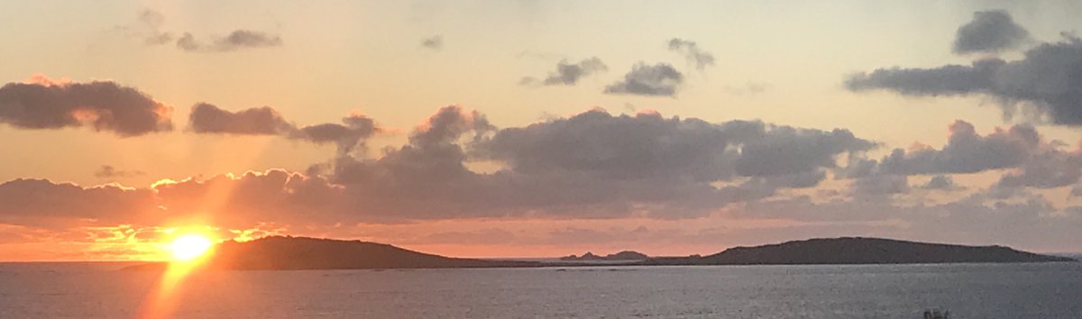 munkrunkey's tweet image. #samson