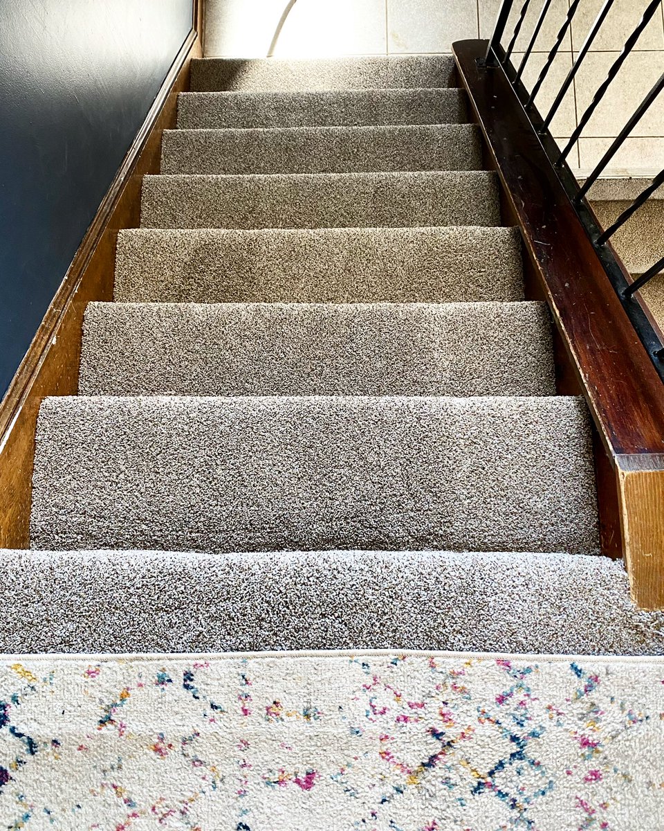 bostonforthedogs tweet media