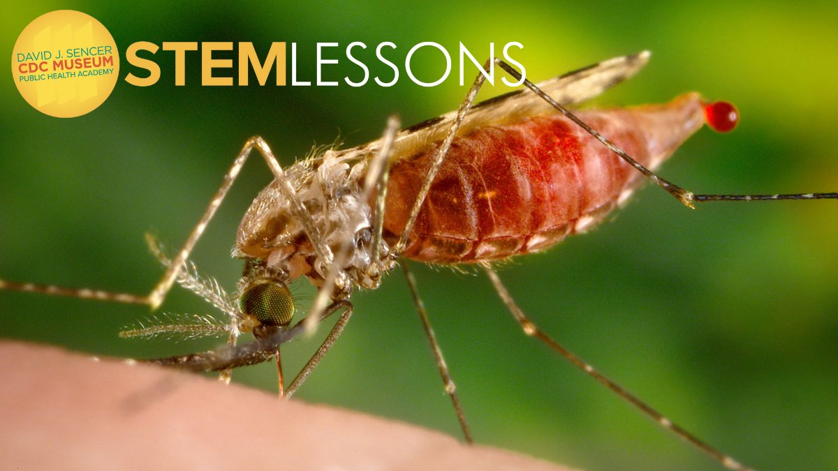 CDCgov's tweet photo. The CDC Museum Public Health Academy offers #STEM Lessons with hands-on activities that allow middle/high school students to work in teams or independently. From trapping mosquitoes to contact tracing, and so much more. Explore more: https://t.co/zIxIdwuldt. https://t.co/rxI5OqvMYm