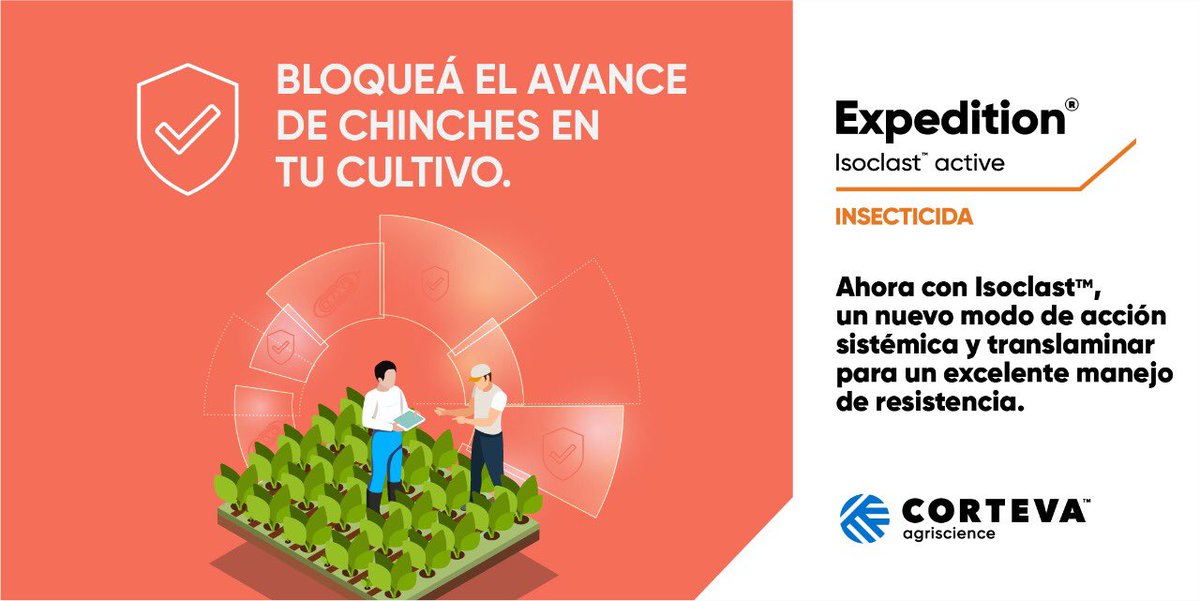 martinpasetto's tweet photo. #Expedition te ofrece control superior de #chinches en cultivos de #soja 🌱
Único con nuevo modo de acción y el mejor volteo.
#insecticidascorteva @CortevaARG https://t.co/SEGTaletMN