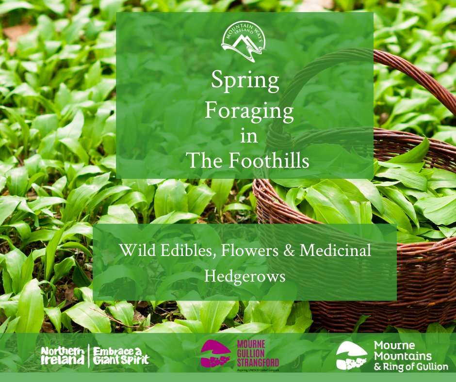 Mountain Ways Ireland tweet media