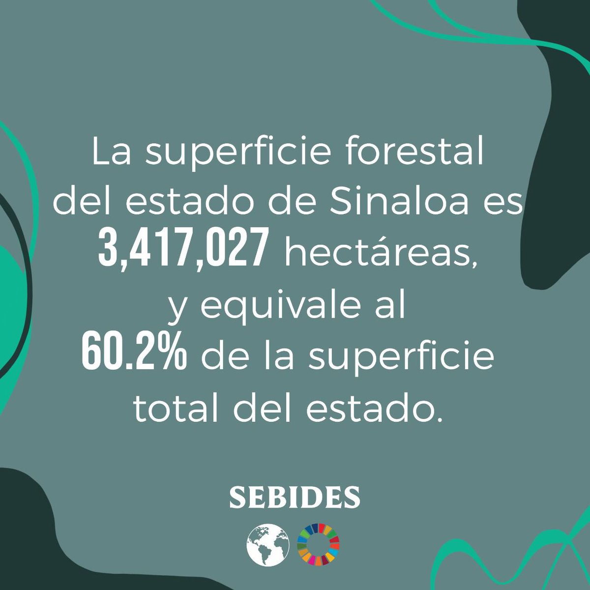 Promovamos la importancia de conservar el territorio forestal de Sinaloa.