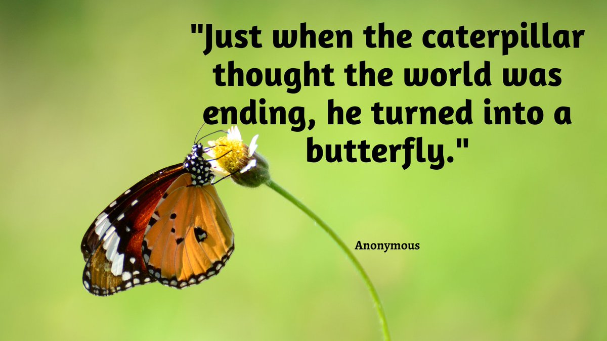 ✨"Just when the #caterpillar thought the world was ending, he turned into a #butterfly."

🍀Do You Agree❓

#inspiration #motivation #MotivationalQuotes #believeinyourself #motivationalspeaker #SuccessStory #quotesoftheday #quotes #NeverGiveUp #PositiveThoughts