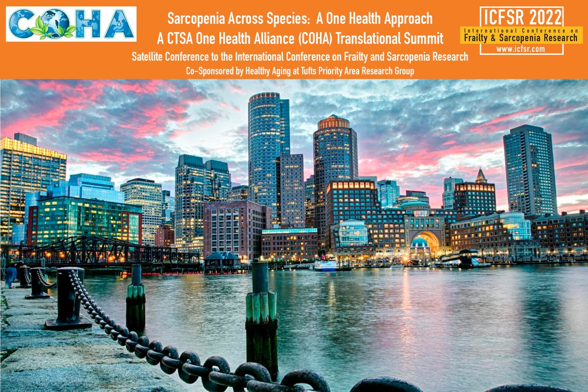 Dr. Roger A. Fielding, PhD tweet media