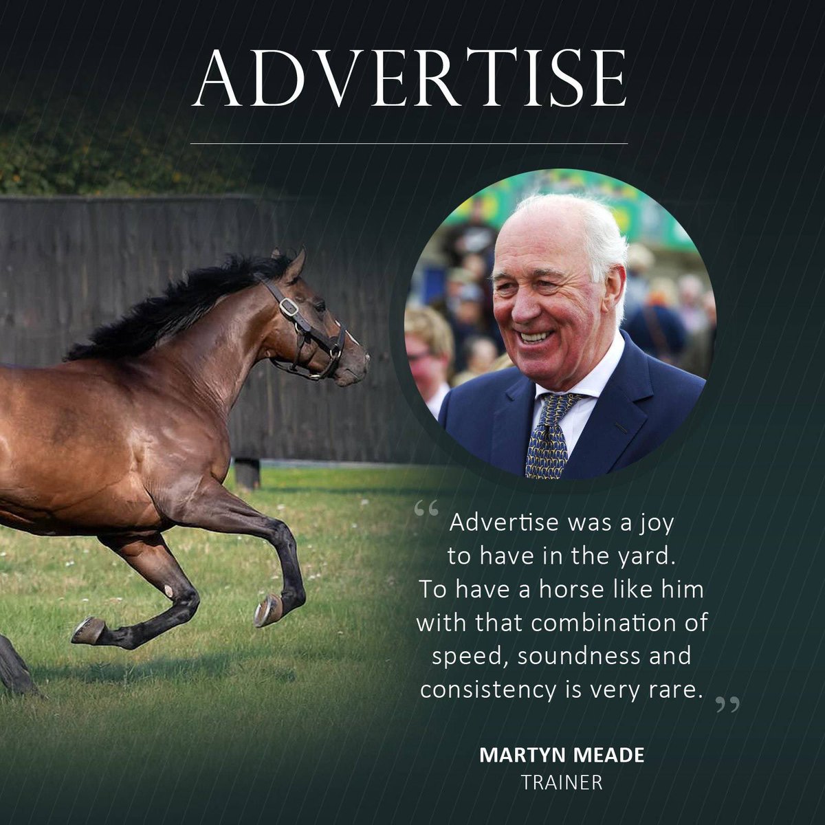 Manton Park Stallions tweet media