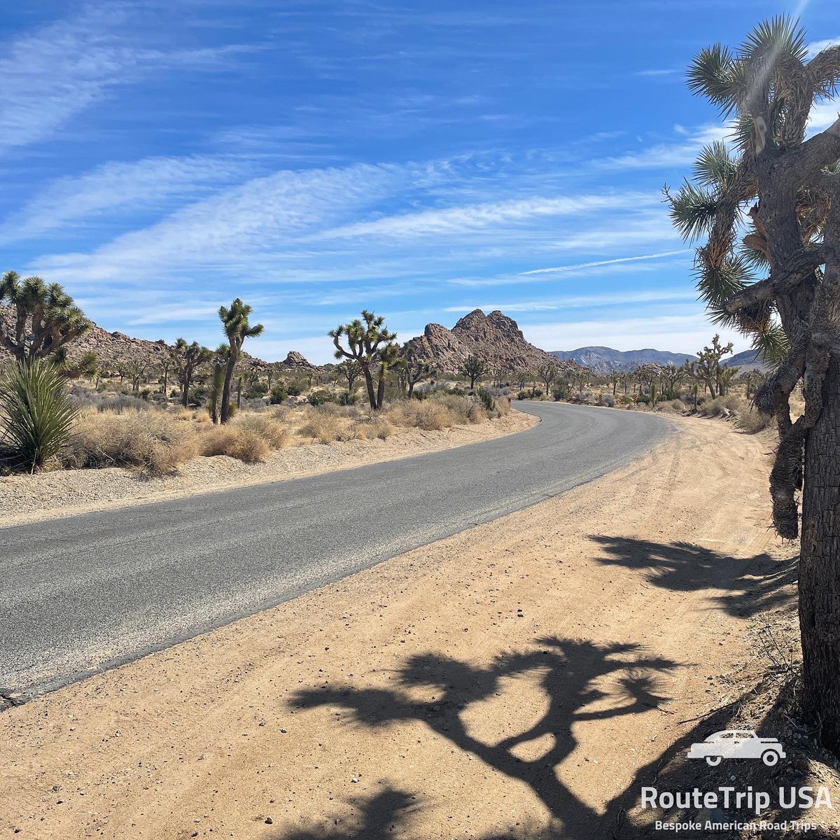 RouteTripUSA's tweet photo. Joshua Tree National Park; close to Palm Springs and a lovely 2 hour drive through the park will allow for seeing some amazing rock formations and of course many Joshua Trees.
#joshuatree #palmsprings #cali #joshuatreenationalpark #uspark #usaroadtrip #routetripusa https://t.co/WdeWg8YLYK
