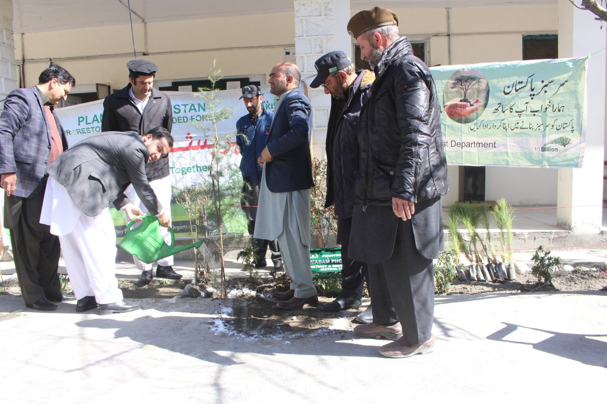 AjazNtfp's tweet photo. A planting in District Court Chitral was organized by Chitral Forest Div under #10BillionTreeTsunamiProgramme, Hon’ble Mr. Asif Kamal, Senr Civil Judge,, and Hon’ble Mr. Hamid, Senr Civil Judge, planted deodar saplings in  Court Premises in Chitral and also distributed saplings. https://t.co/oGAErUuy3j