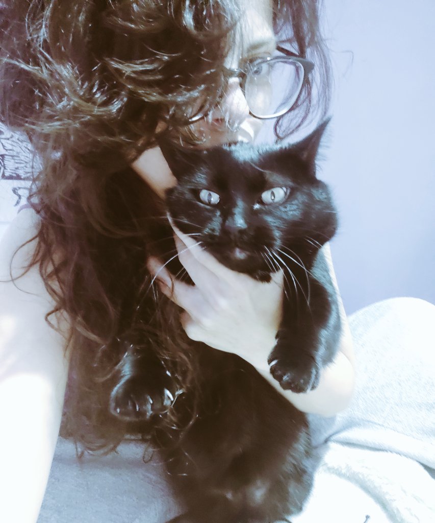 systemoddity's tweet photo. "You will get punished for this, human!!!" #catfie https://t.co/nw65eZL7tj