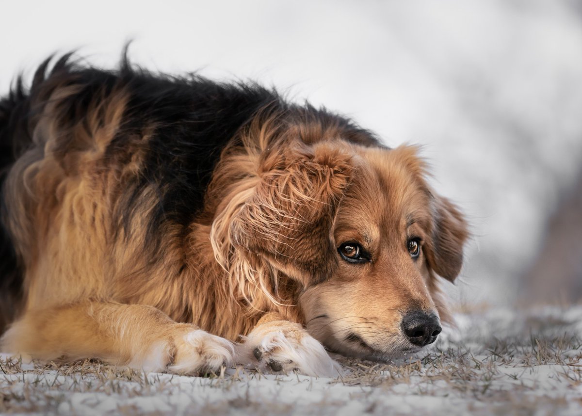 Already posted this one on insta but the crop its trashhh 😂