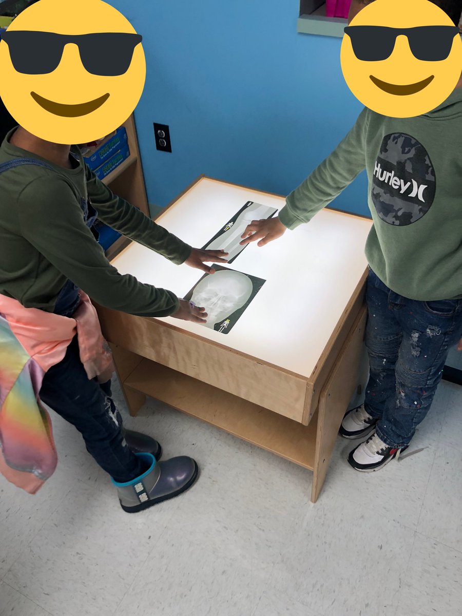 SchneiderIn1st's tweet photo. These 2 discovered x-rays today. We may have some future medical professionals here. https://t.co/yFXZic1nKV