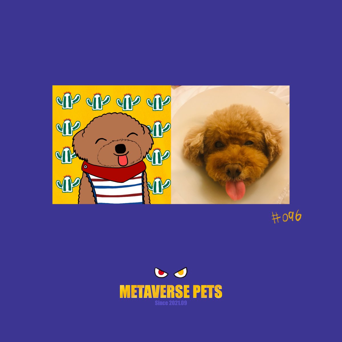 Metaverse Pets tweet media